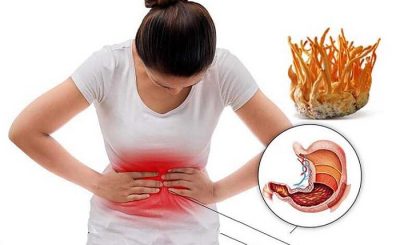 công dụng của Đông Trùng Hạ Thảo